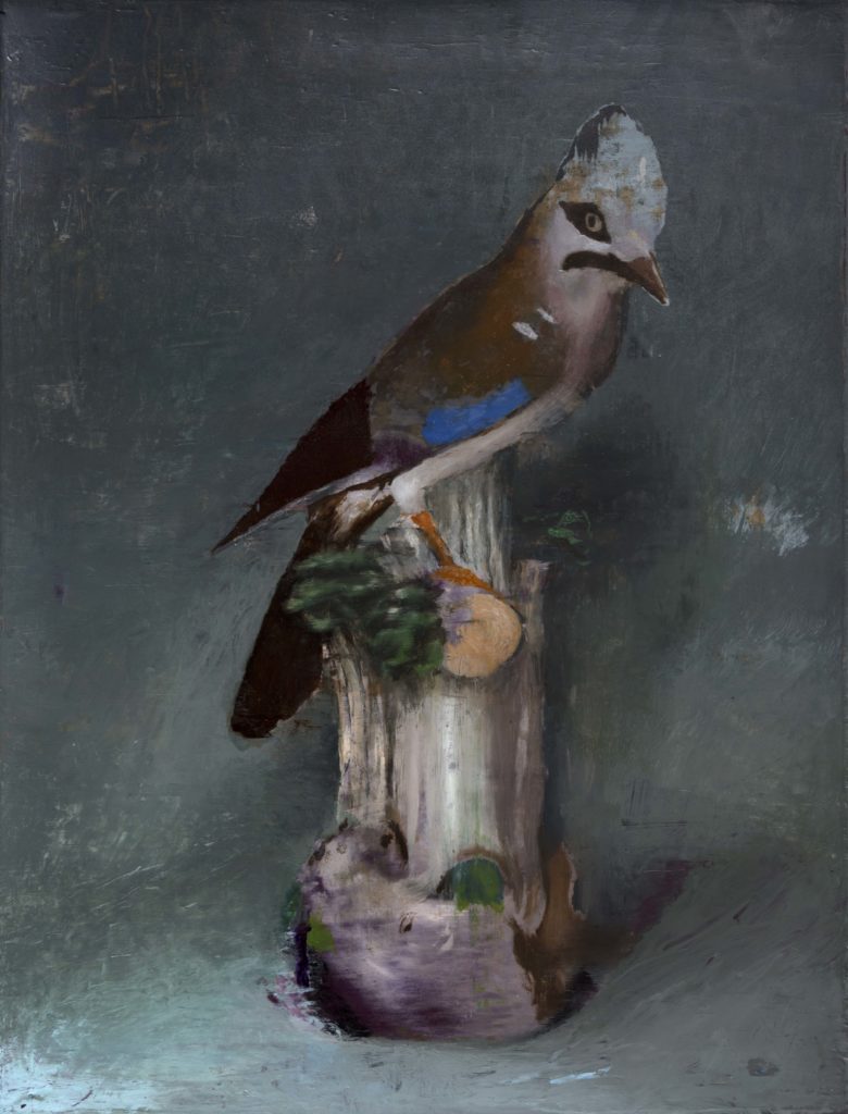 Parakeet-Mothers-Bliss-Ncontemporary-Milan-Cristiano-Tassinari-Aldini