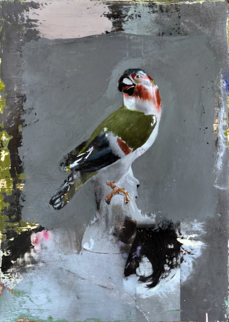 Parrot-Mothers-Bliss-Ncontemporary-Milan-Cristiano-Tassinari, cristiano aldini tassinari